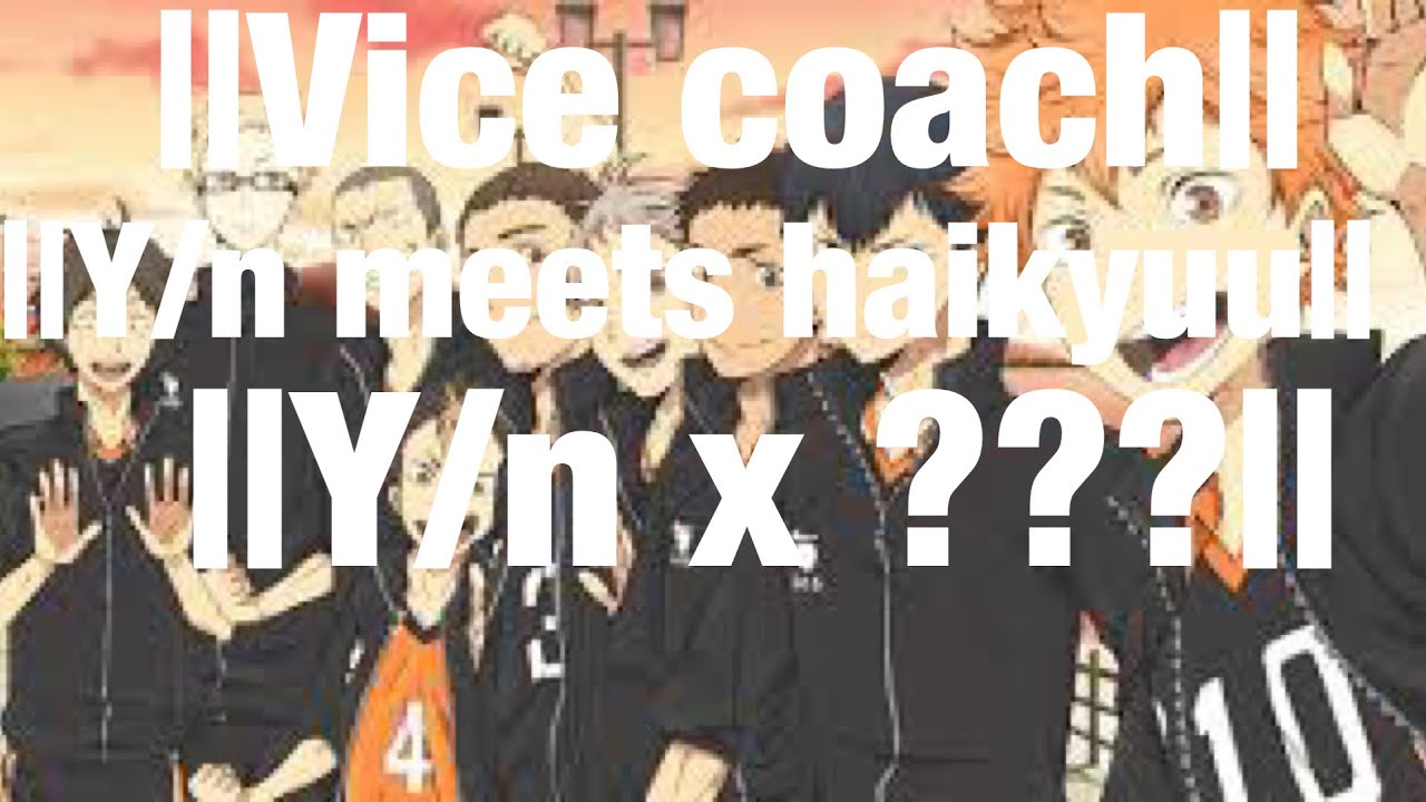 ||the vice coach||y/n meets haikyuu||y/n x ???||part one||