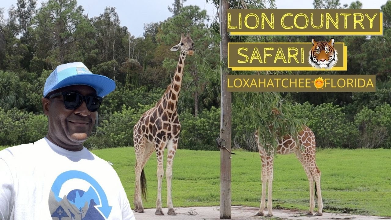 VISITING LION COUNTRY SAFARI| LOXAHATCHEE, FLORIDA