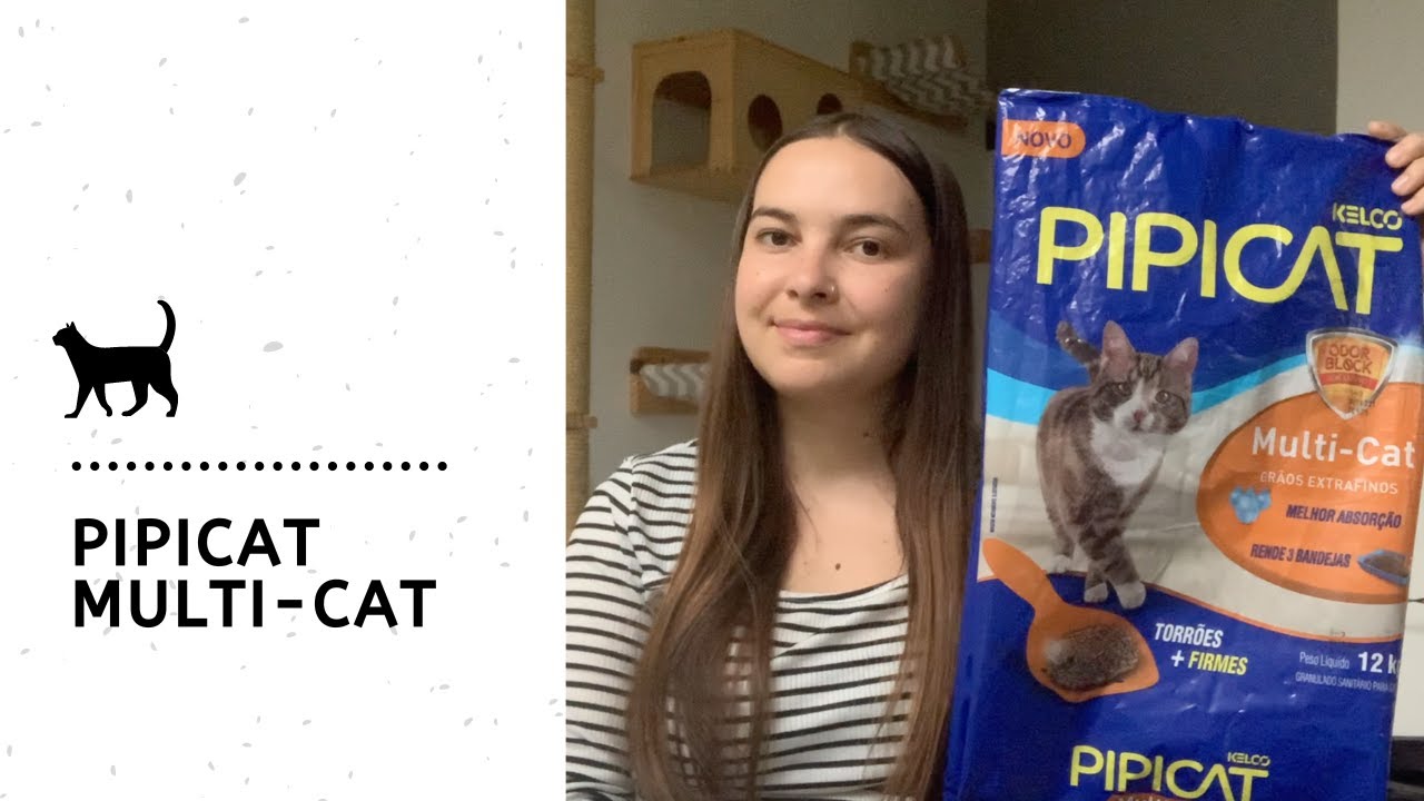 Testamos o Granulado Sanitário Pipicat Multi-Cat | Leticia MdO