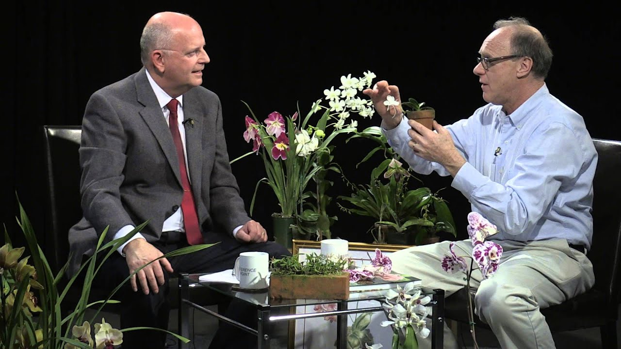 Reference Point - The Wonderful World of Orchids