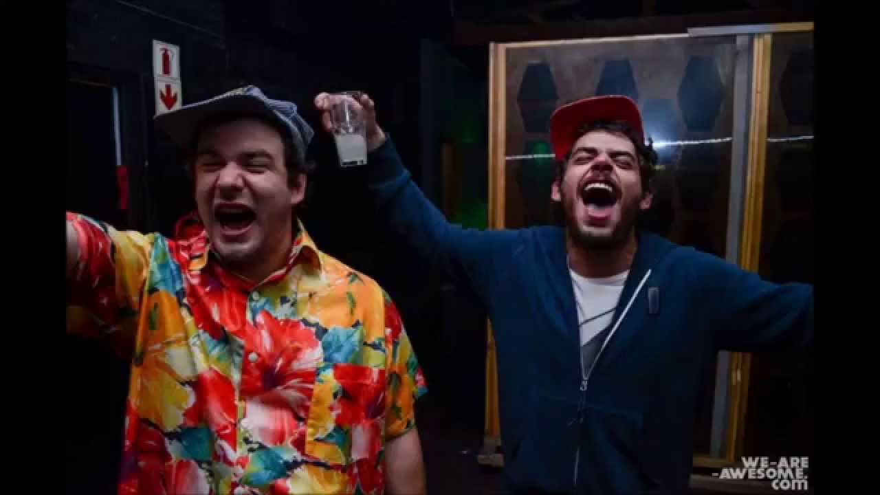 Sedge Warbler - Creeping Back