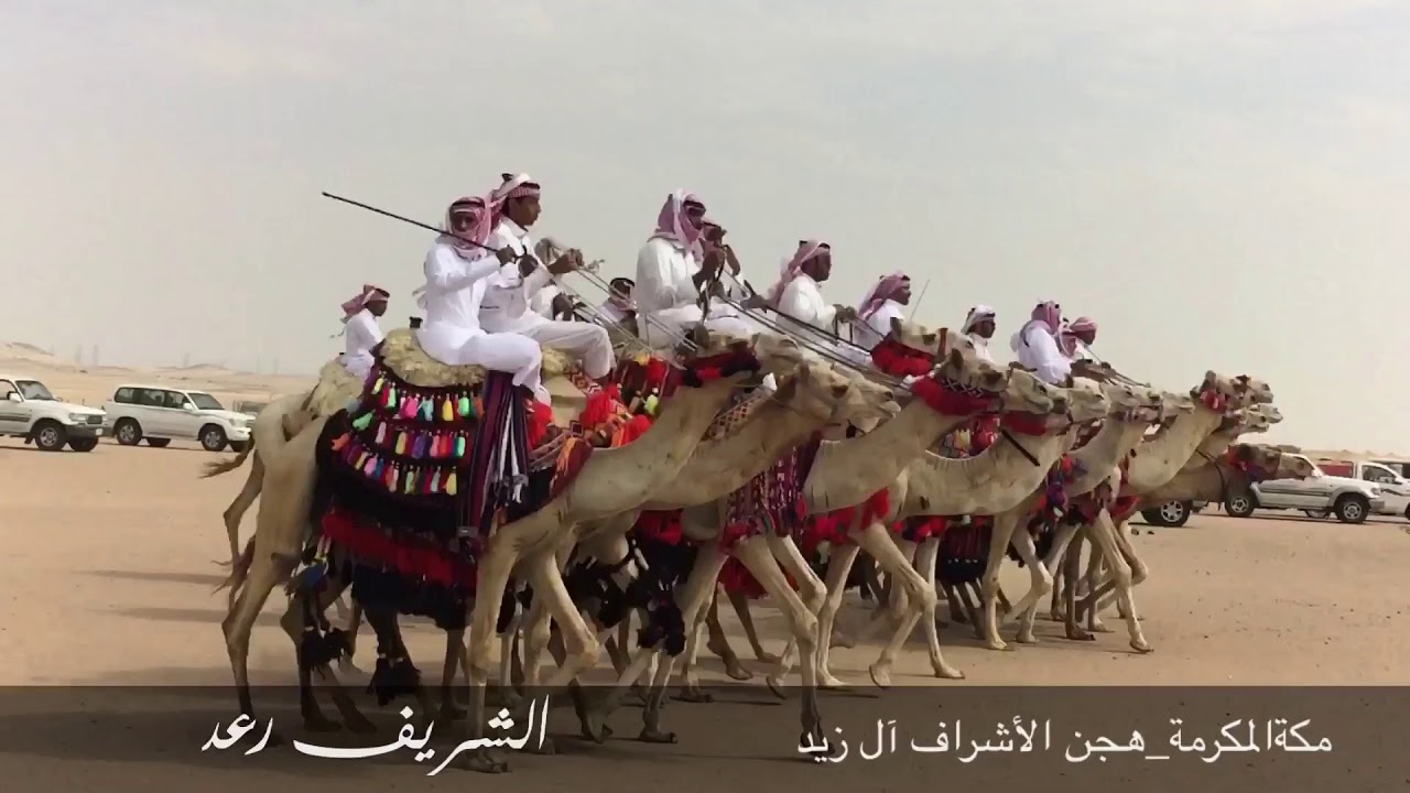 هجن الأشراف آل زيد بمكة المكرمة