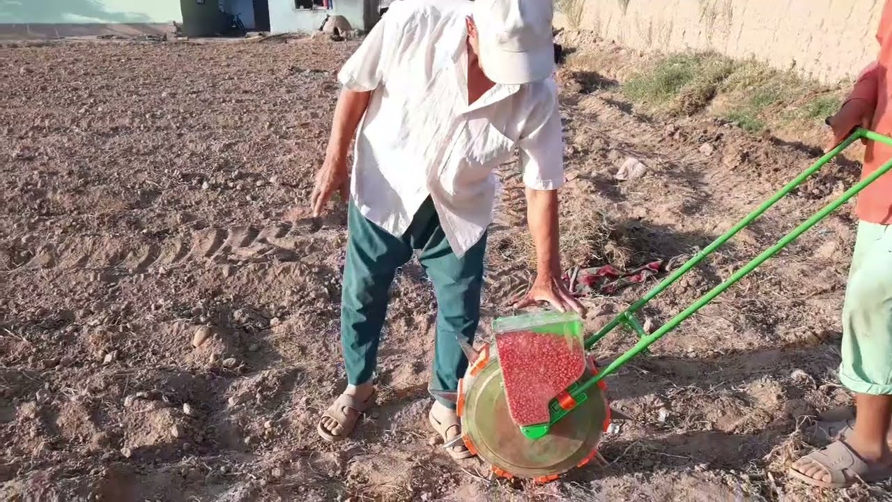 МАККА ЭКАДИГАН АППАРАТ 1 июня 2021 г.