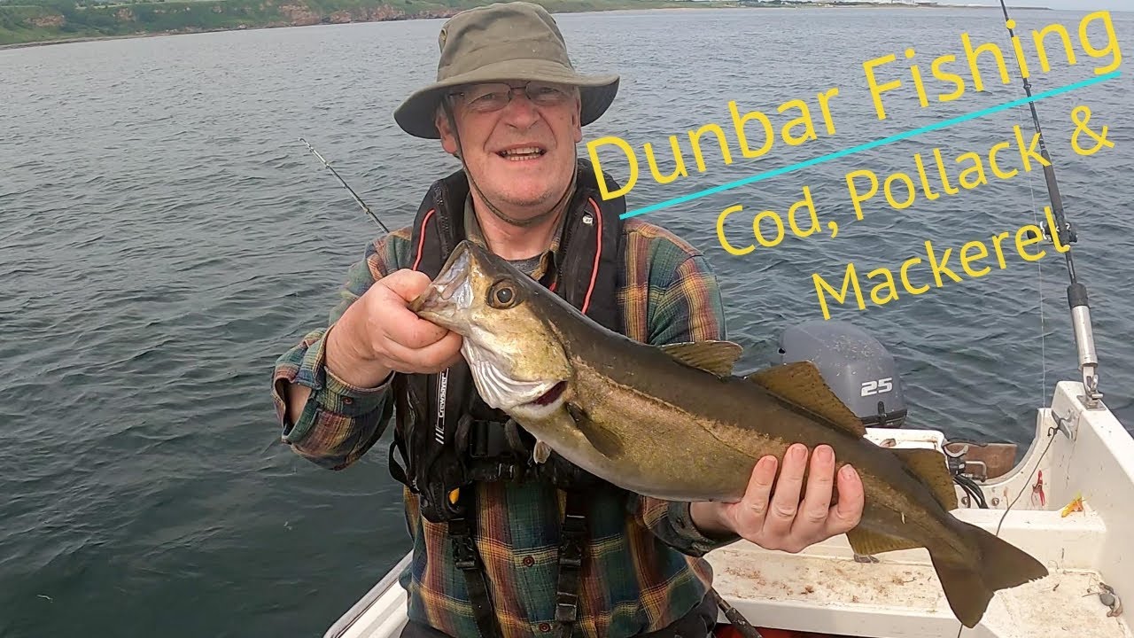 Fishing Dunbar - Cod, Pollack and Mackerel in Early Summer