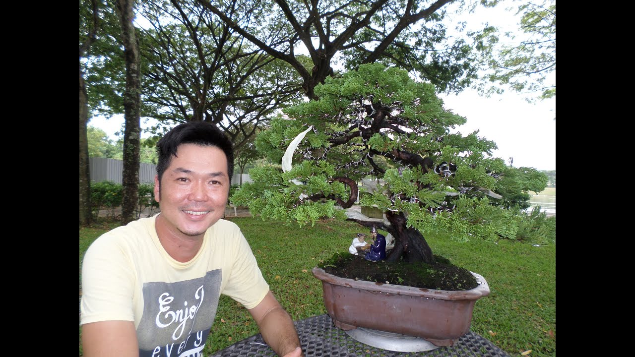 [相玉园盆景.UA BONSAI ART] - Bonsai Demo and lecture Part 2 #Malaysia Bonsai