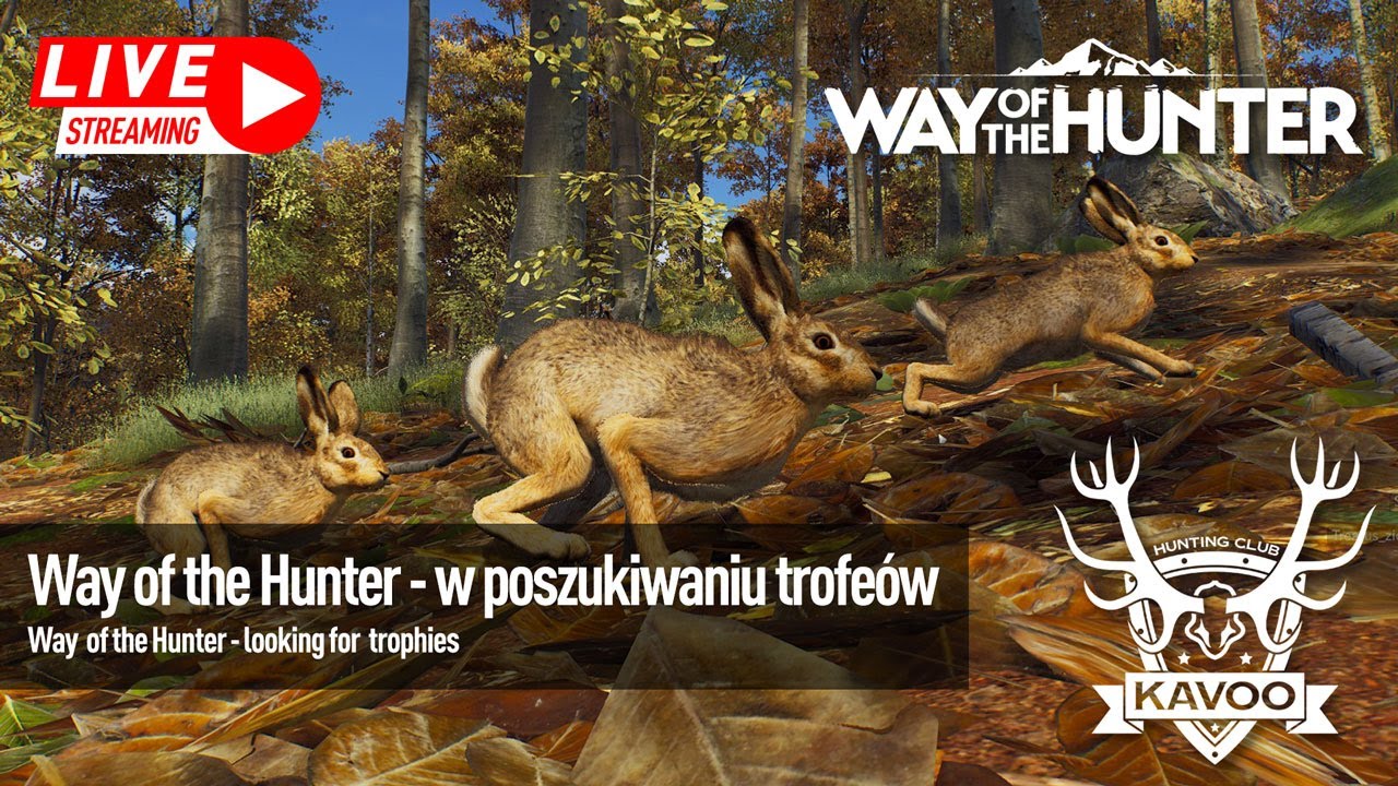 Way of the Hunter ||| W poszukiwaniu trofeów w Tansylwanii