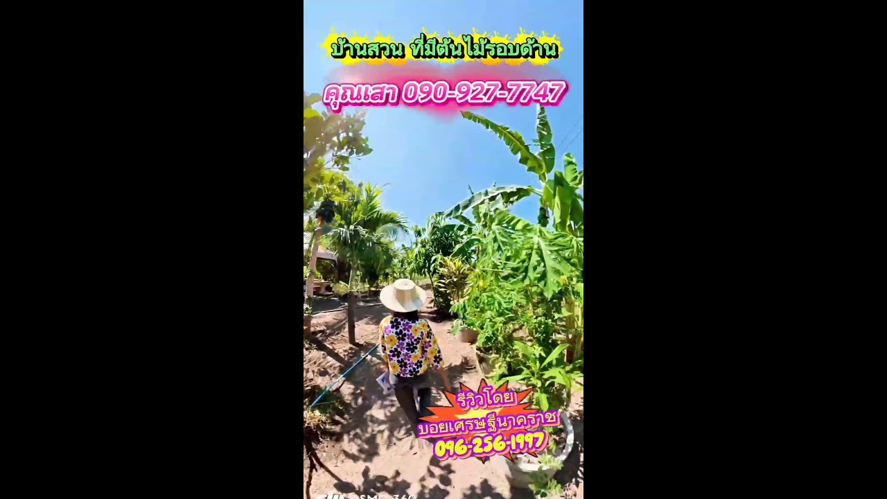 ใครเข้ามาชมแล้ว ถ้าชอบถูกใจ ฝากพิมพ์ ชอบ ให้ผมบ้างน่ะครับ 🙏🙏🙏 #บอยเศรษฐีนาคราช