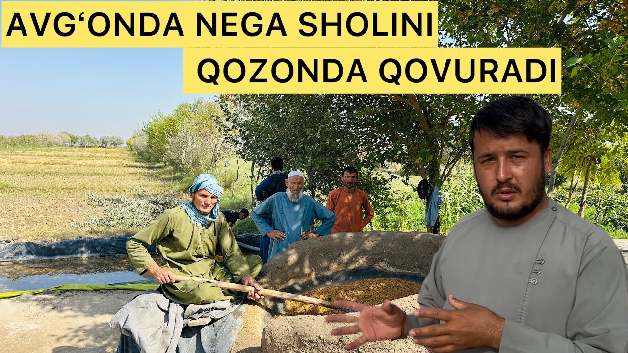 АФҒОНДА НЕГА ШОЛИНИ ҚОЗОНДА ҚОВУРИЯПТИ
