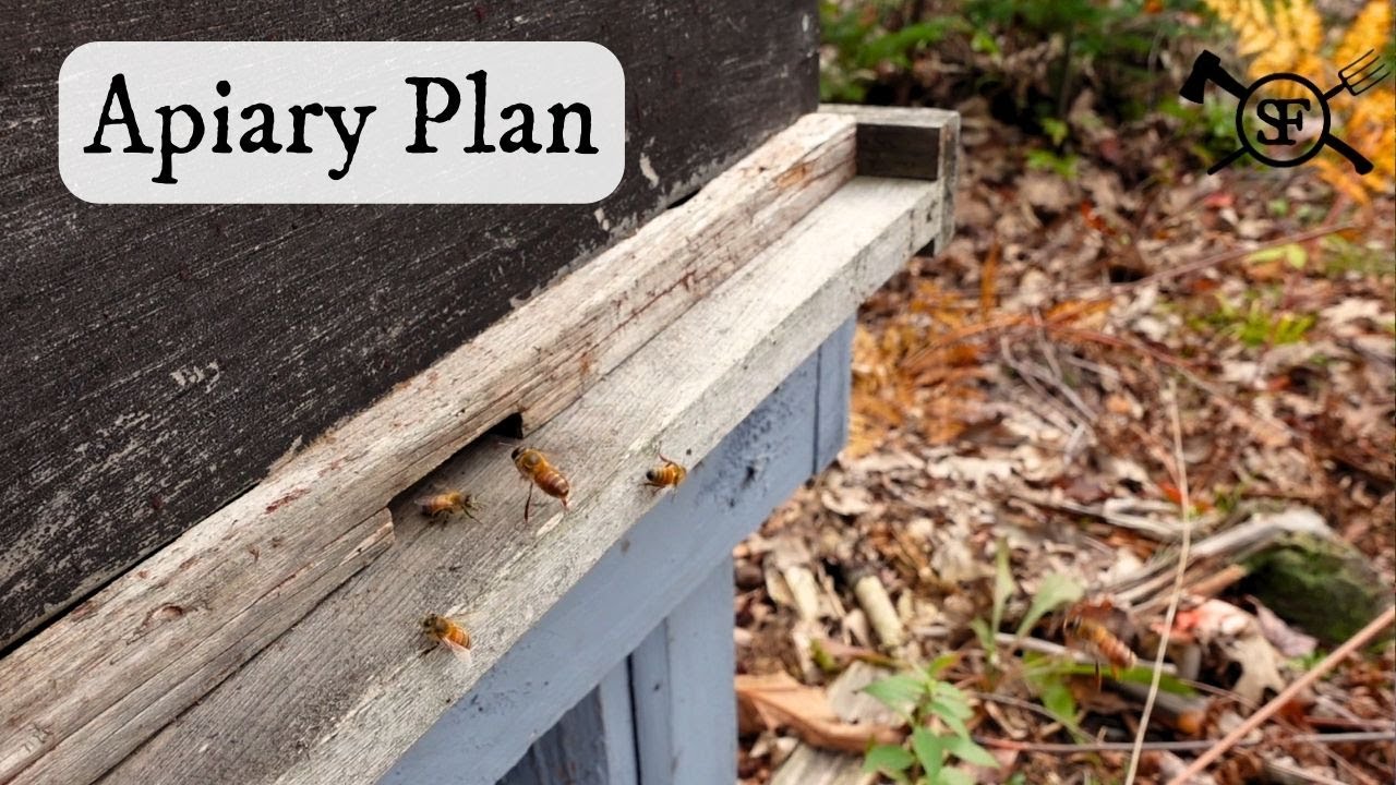 Choosing a new bee yard for honeybees