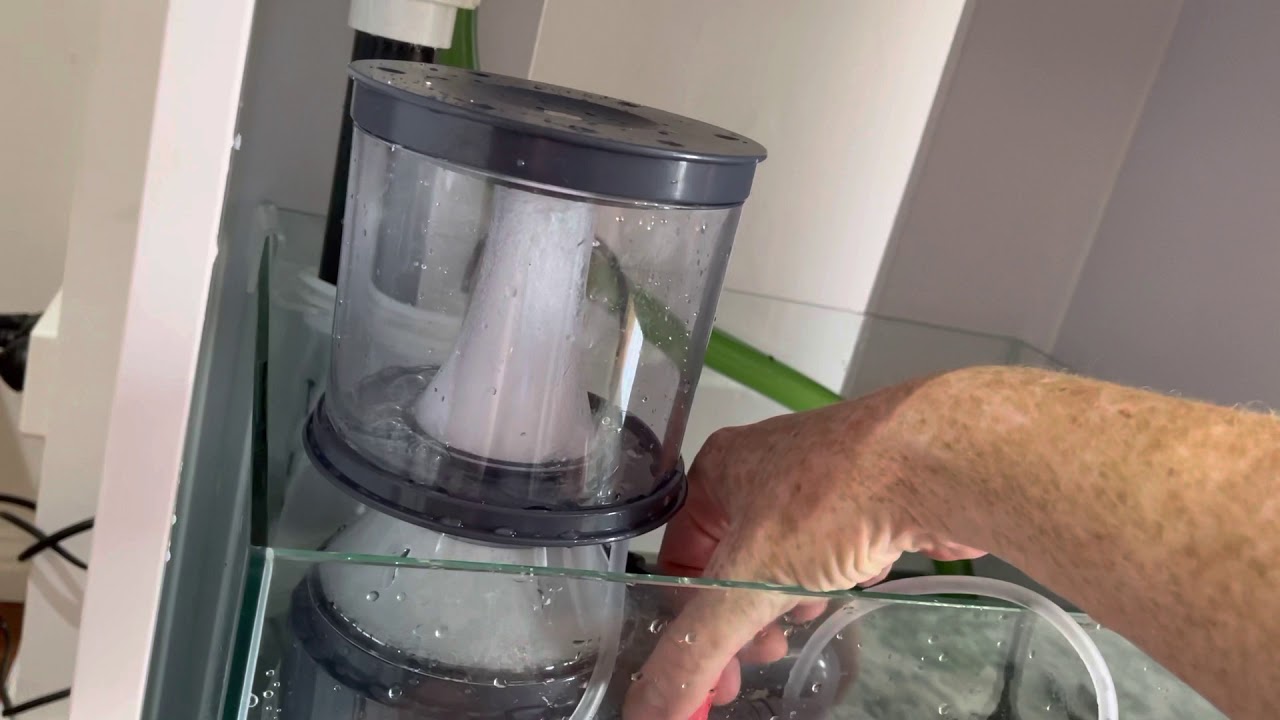 All about setting up an Aqua One Mini Reef aquarium!