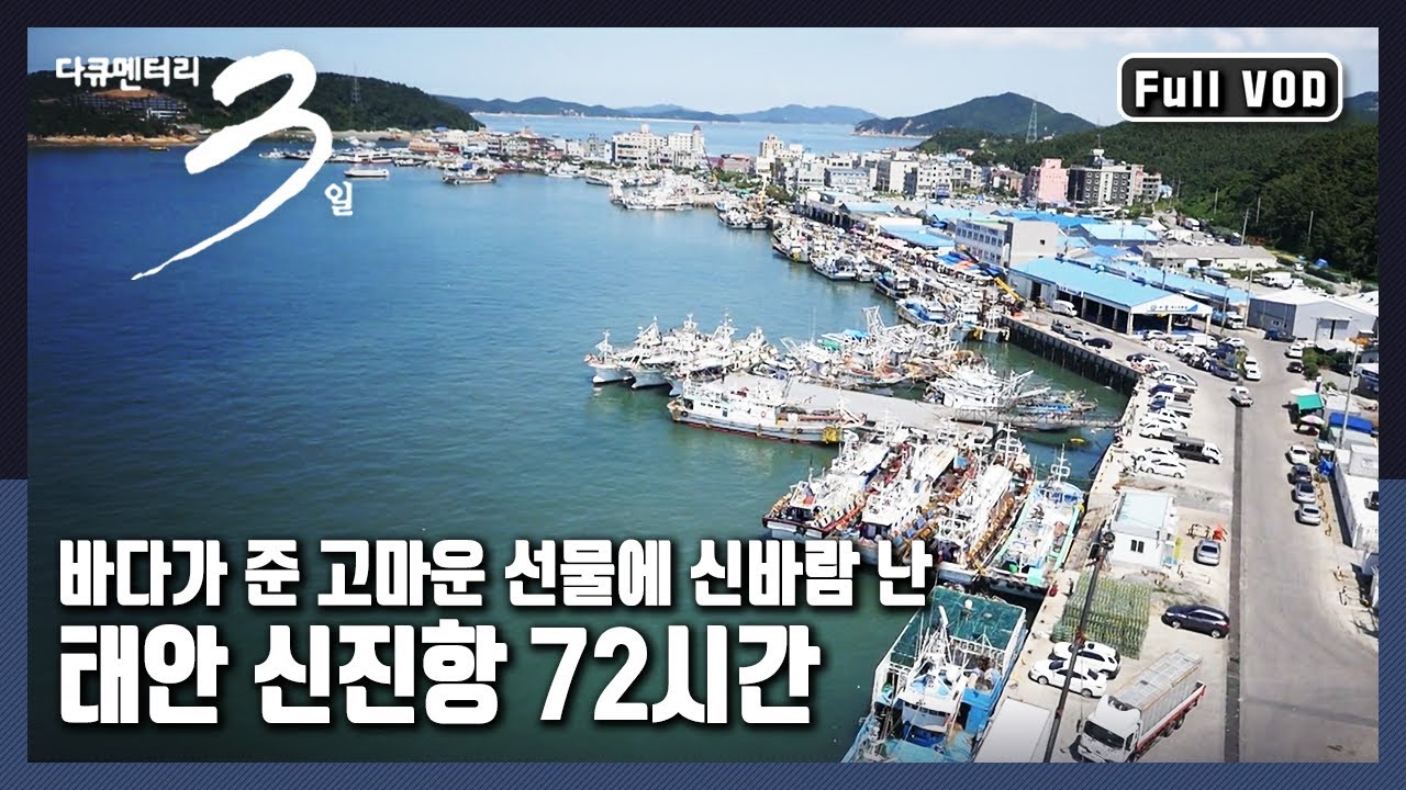 [다큐3일★풀버전] 동해 대표선수가 서해에 떴다? 