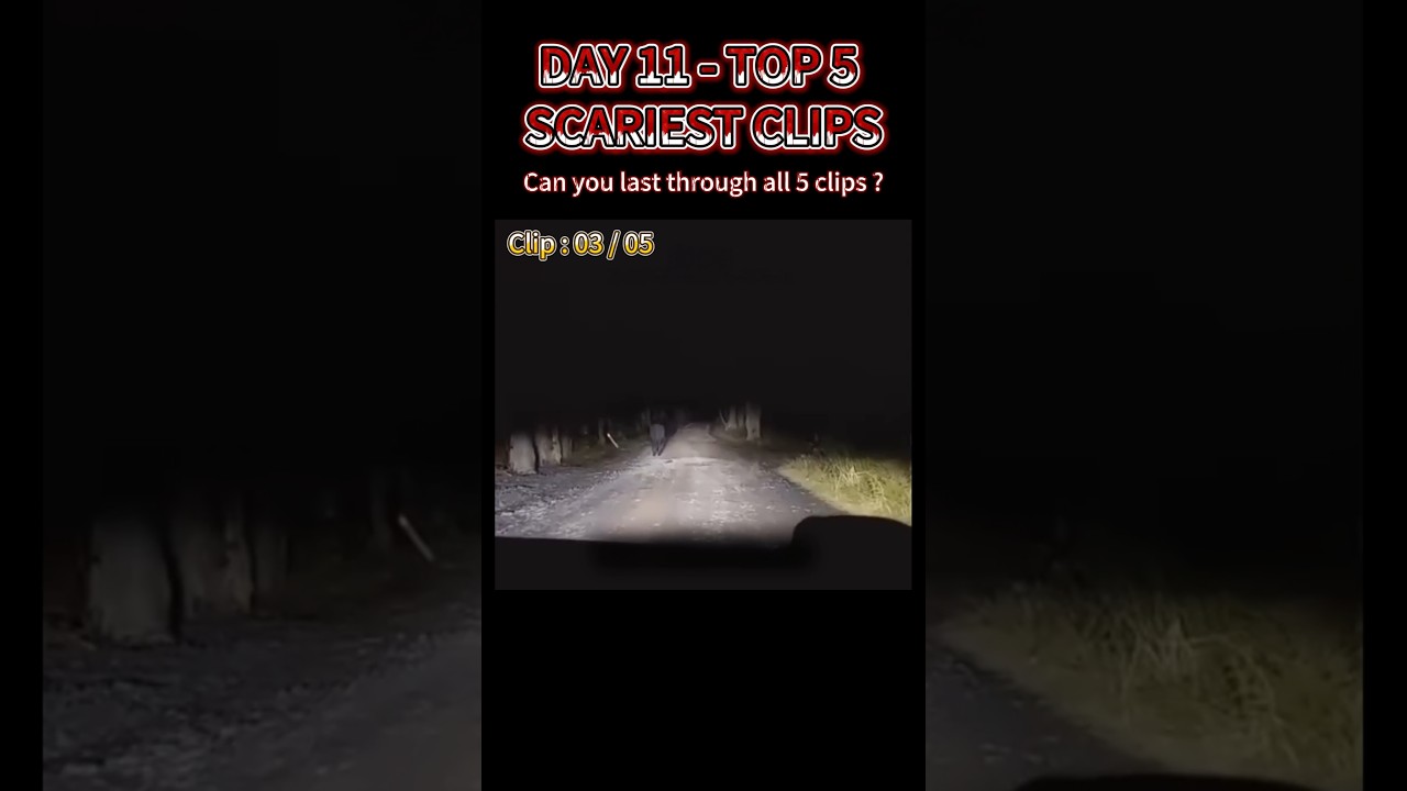 Top 5 Scariest Clips &ndash; Can You Watch All 5? #day11 #horror #scary
