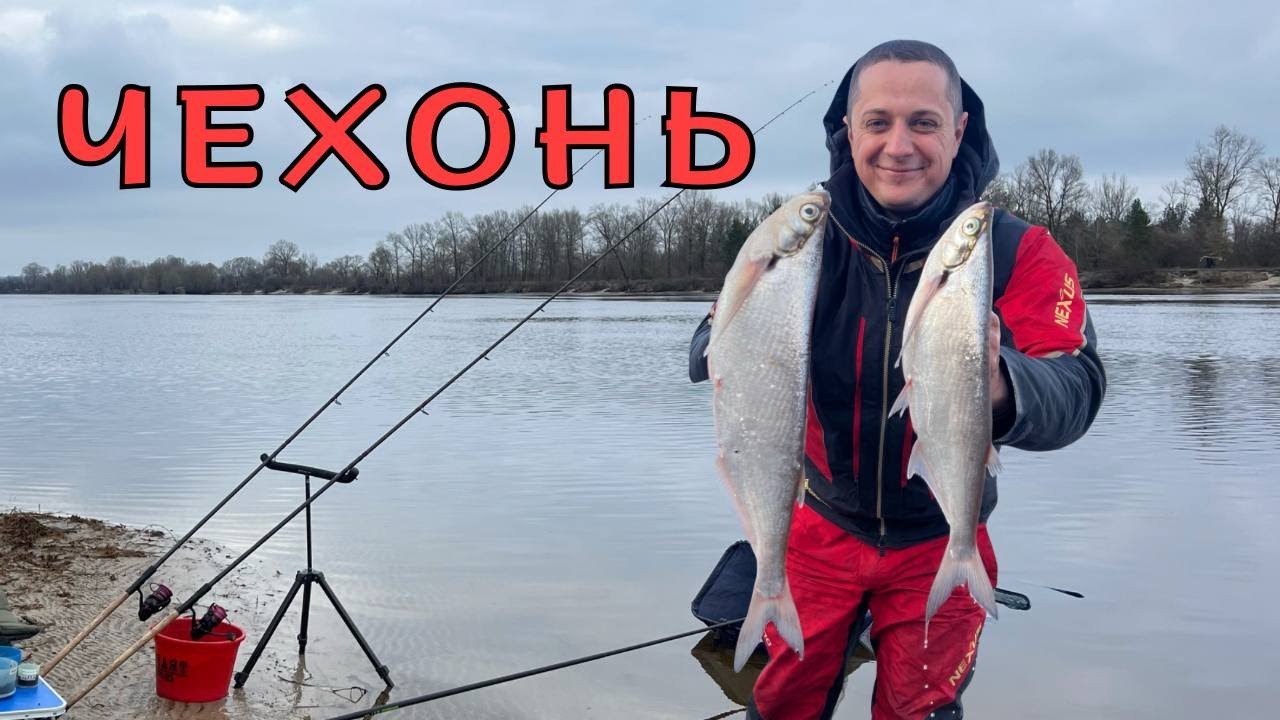 Рибалка на фідер. Десна порадувала трофеями.