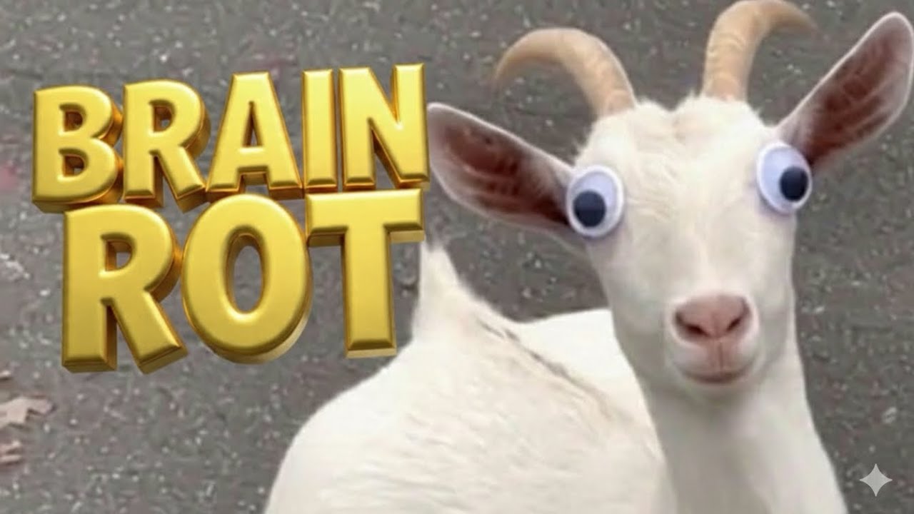 Brain Rot ~ Weekend Vibes🧠🐐🎬