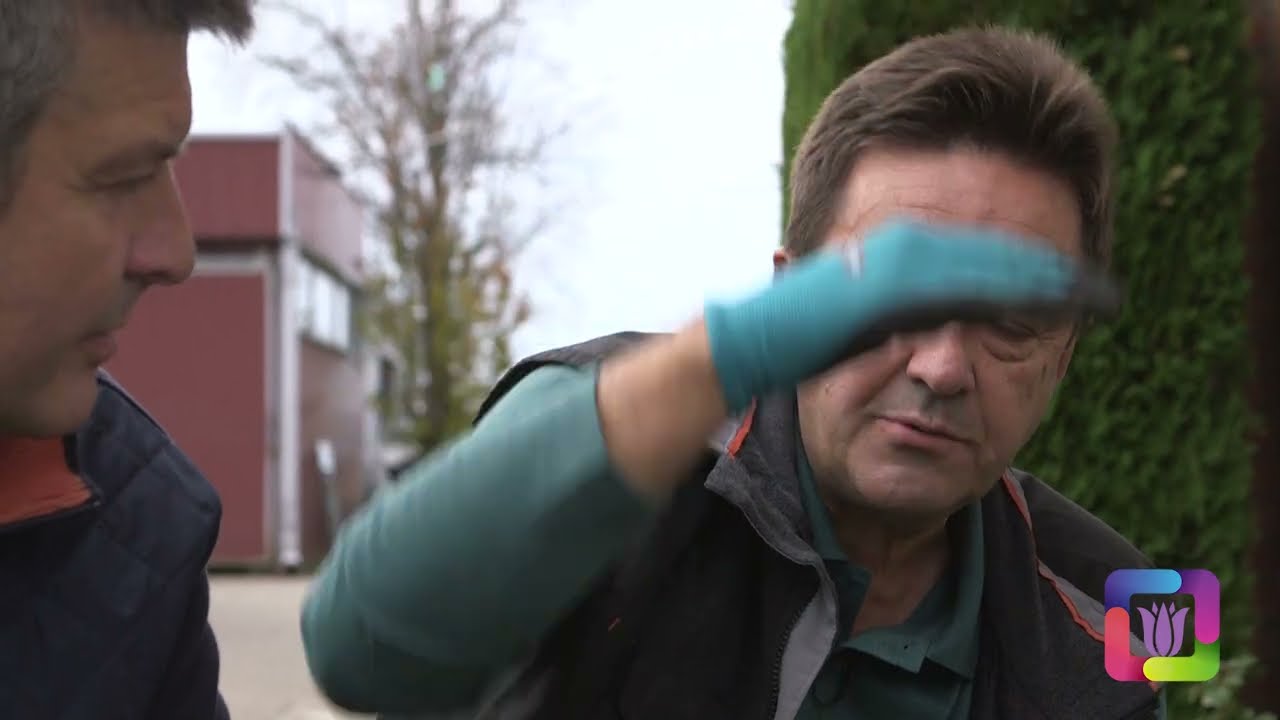 Cvetni kutak ep. 5 12.12.2019. orezivanje ruža, jesen, cikas palma, Košutnjak, Zrenjka Bunjuk