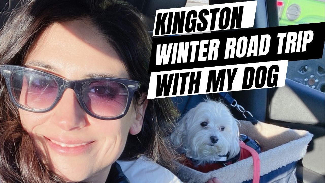 Kingston Ontario Winter Road Trip with My Dog | Dog Friendly Travel Vlog + Haunted Walk