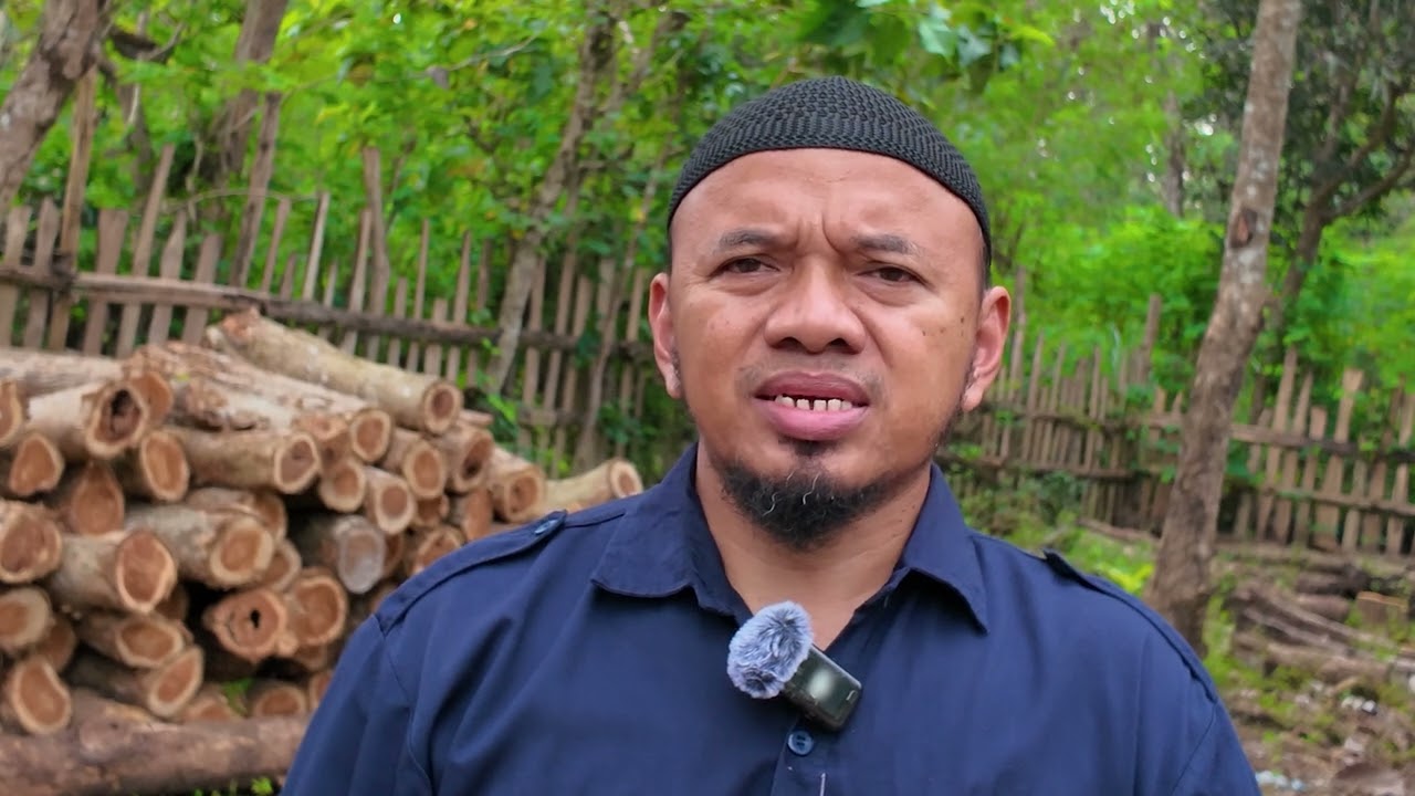 How Cooperatives Help Smallholders Get Better Timber Prices | Sustainable Forestry in Practice