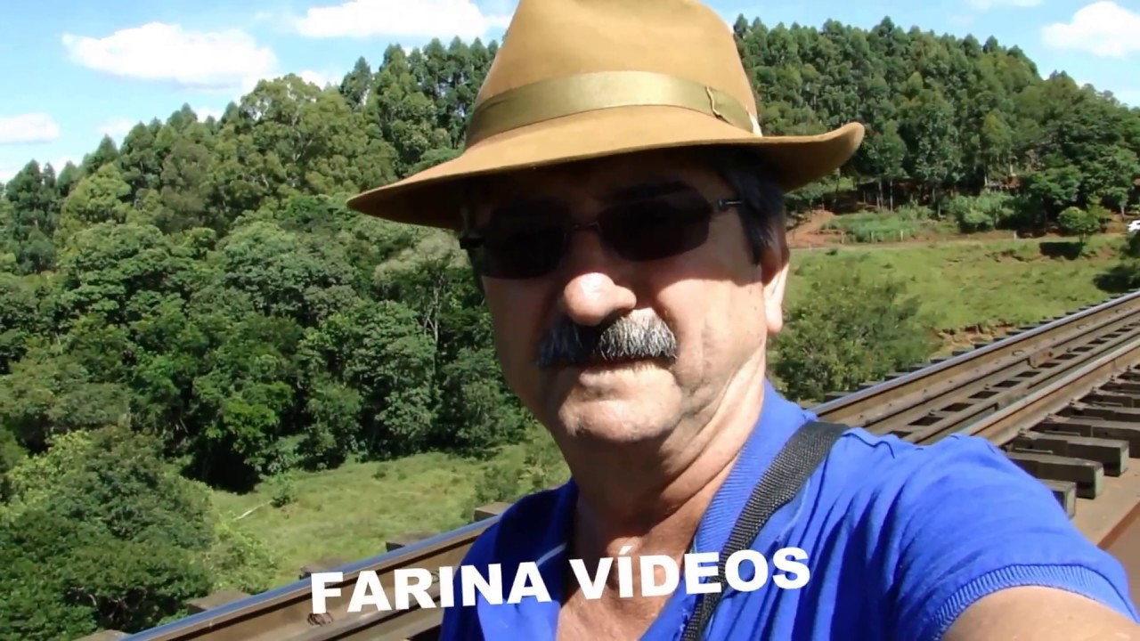 TRENS TREM no VIADUTO na SERRA DO CADEADO - PR. By FARINA