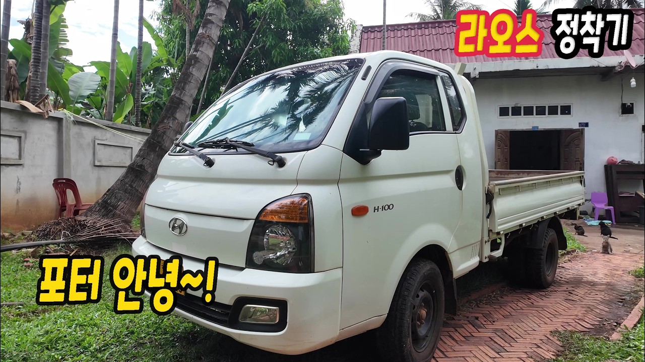ep589 결국 포터 팔았어요