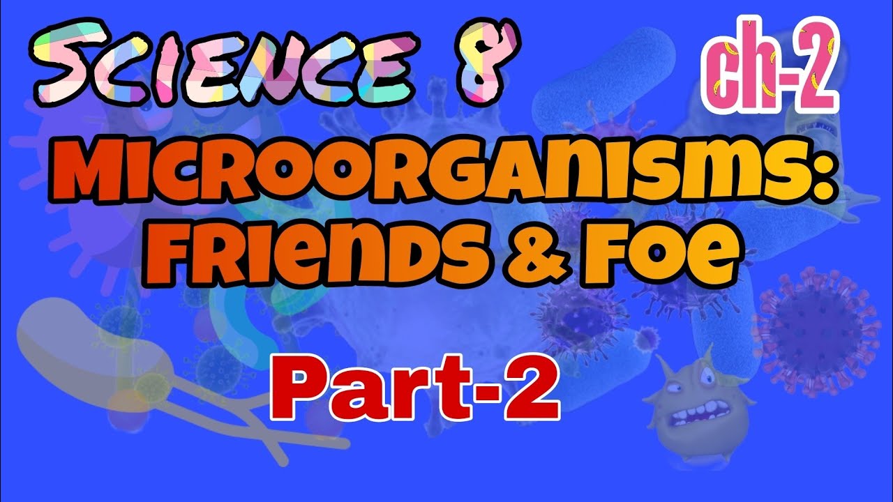 #2 Class 8 Science chapter 2, Microorganisms: Friends & Foe