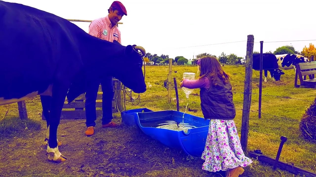 Porque Toco Cumbia