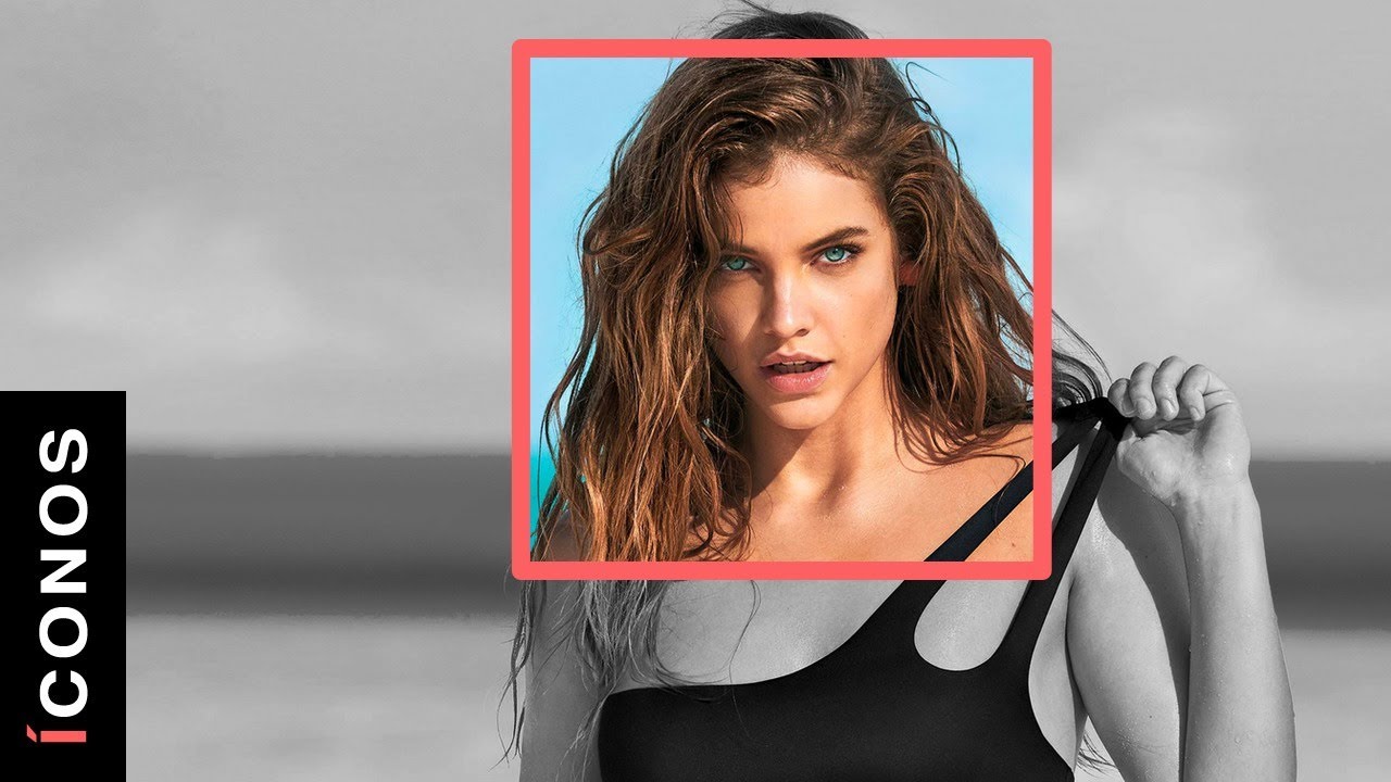 Barbara Palvin sufrió por culpa de Selena Gómez | íconos