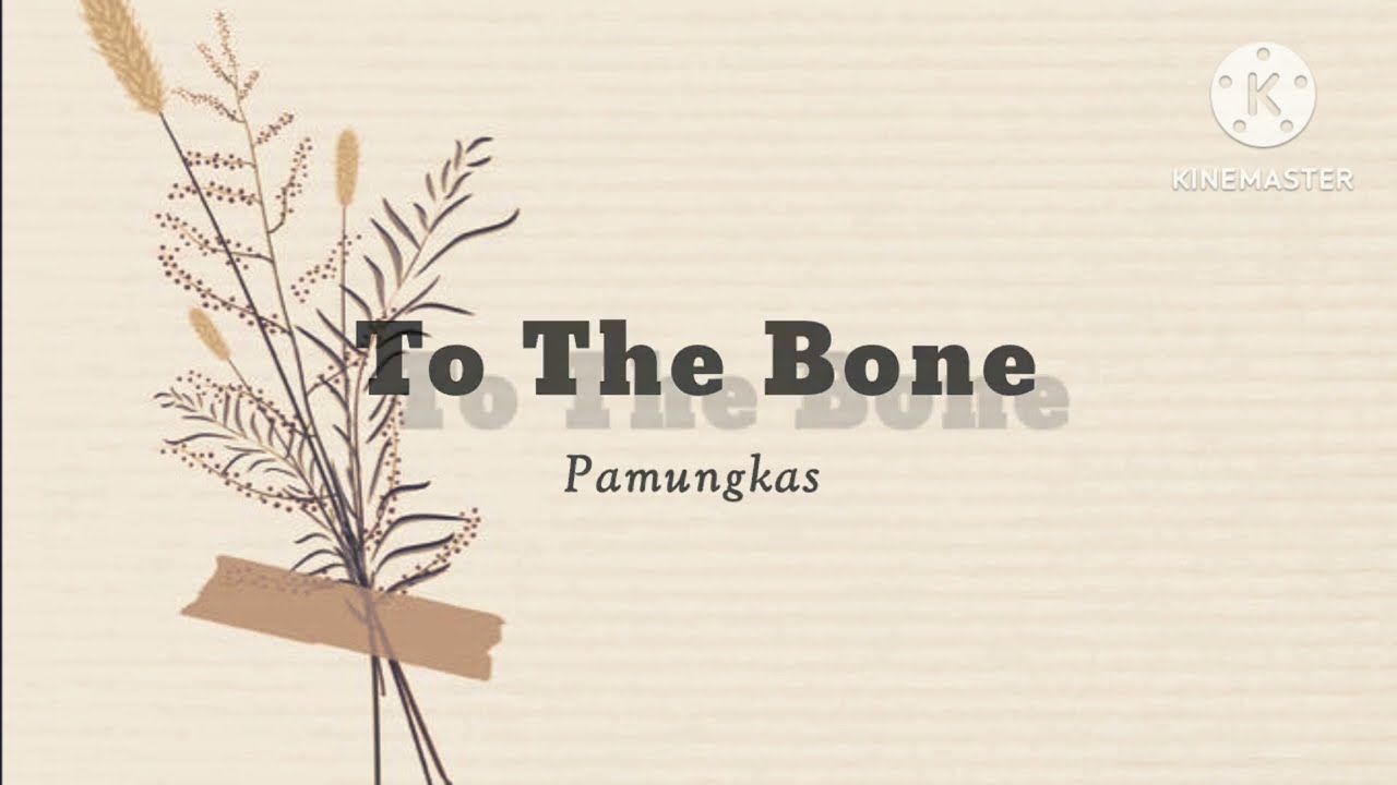 To The Bone (lyrics)- Pamungkas