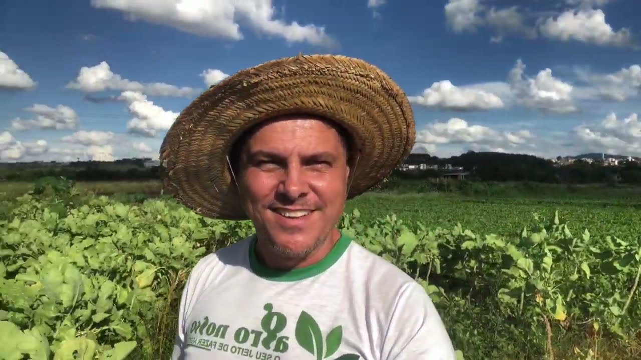 MATA MATO PARA COUVE MANTEIGA + MUDAS DE COUVE MANTEIGA COM TALO GRANDE + PLANTAÇÃO DE QUIABO