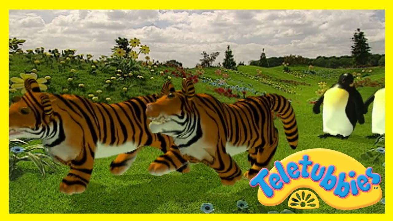 Teletubbies: Cat's Night Out - Full Episode