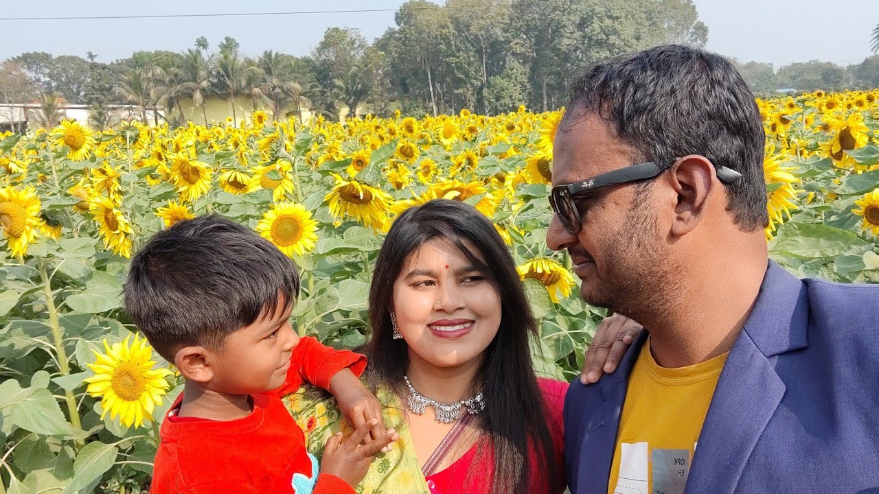 😊 নবম বিবাহ বার্ষিকীতে সূর্যমুখীর বাগানে ❤️😜 #vlog #minivlog #villagelife #family 