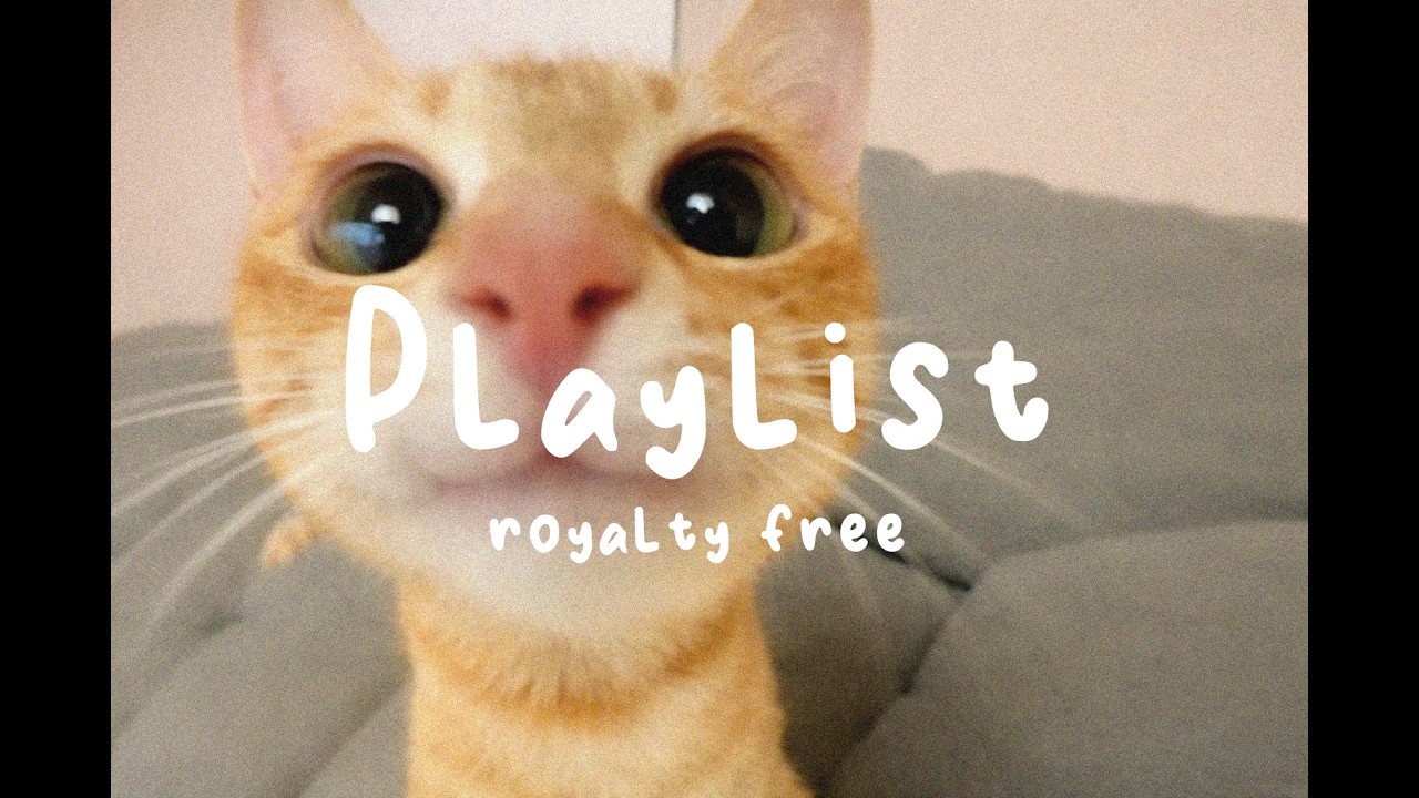 Royalti-Free Slow Morning Acoustic R&B 🌅 | Peaceful Chill Playlist