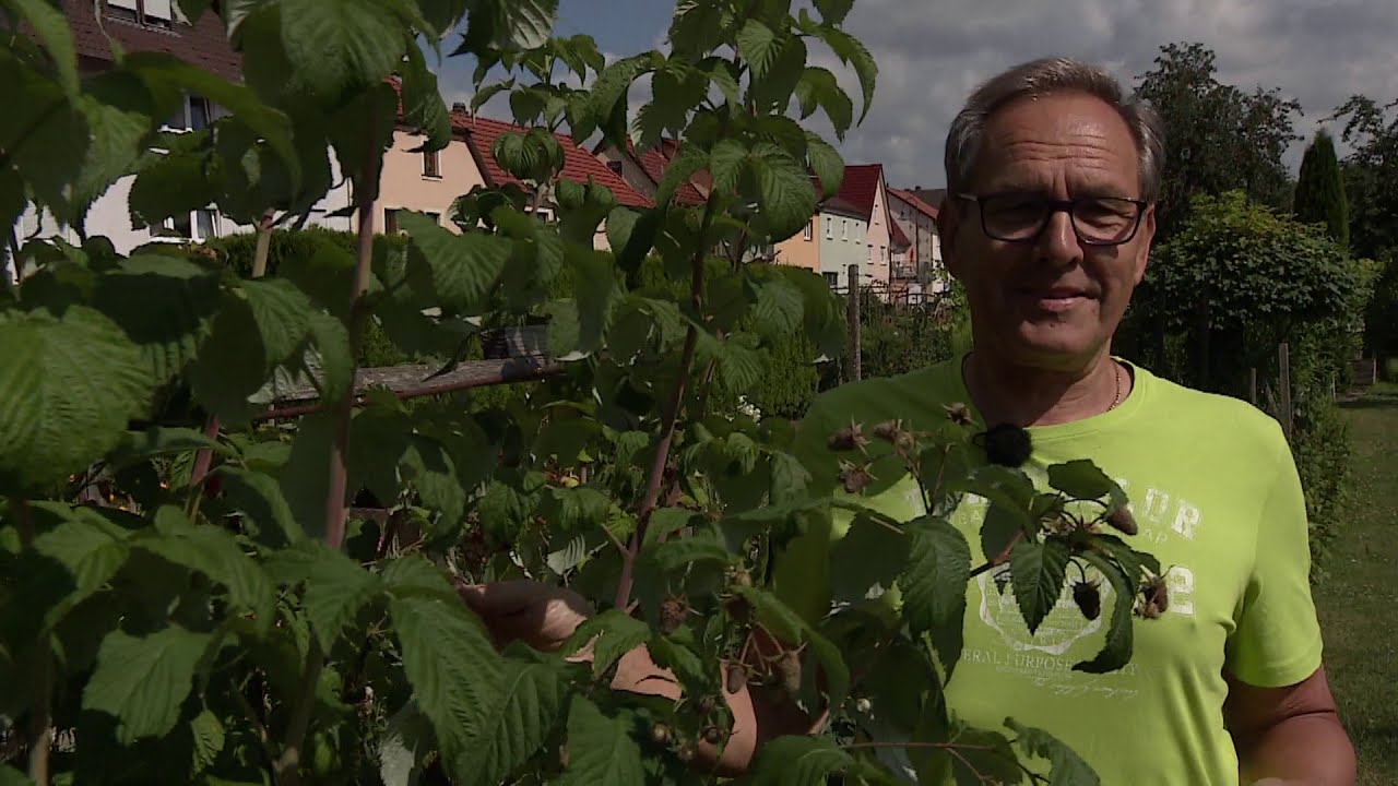 Winfried, ein Gem&uuml;seexperte