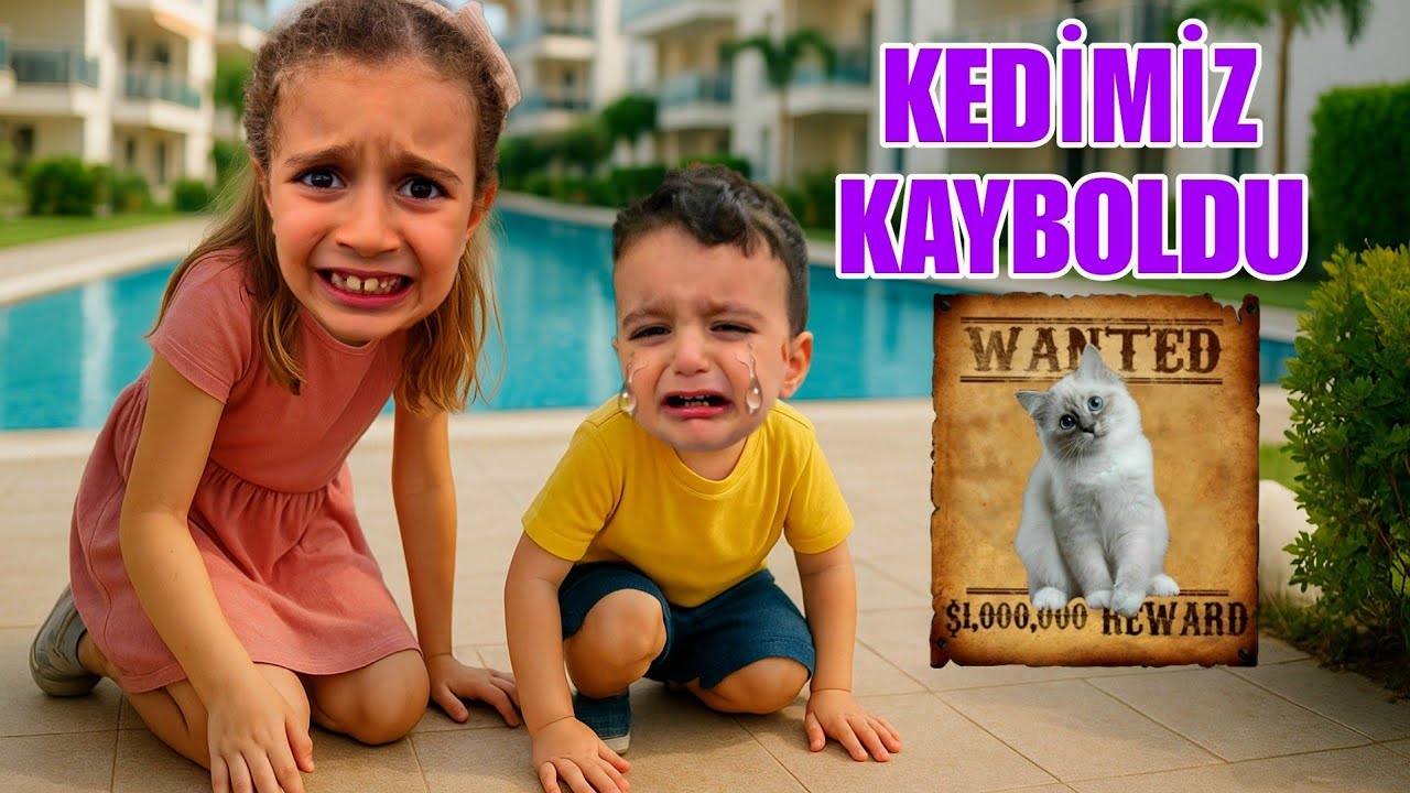 POYRAZ ELİF SİTEDE YAVRU KEDİSİNİ KAYBETTİ!!!