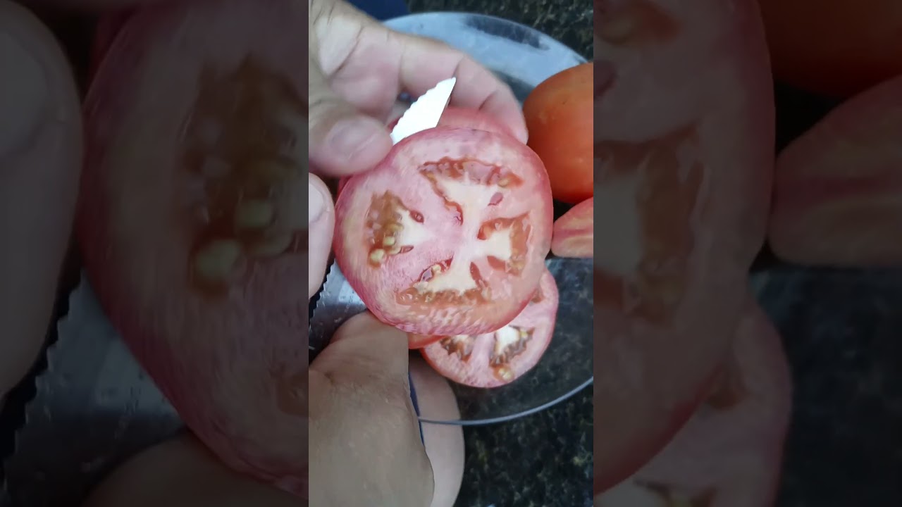 Pare tudo que est&aacute; fazendo e veja esses benef&iacute;cios desses legumes #curiosidades #saude