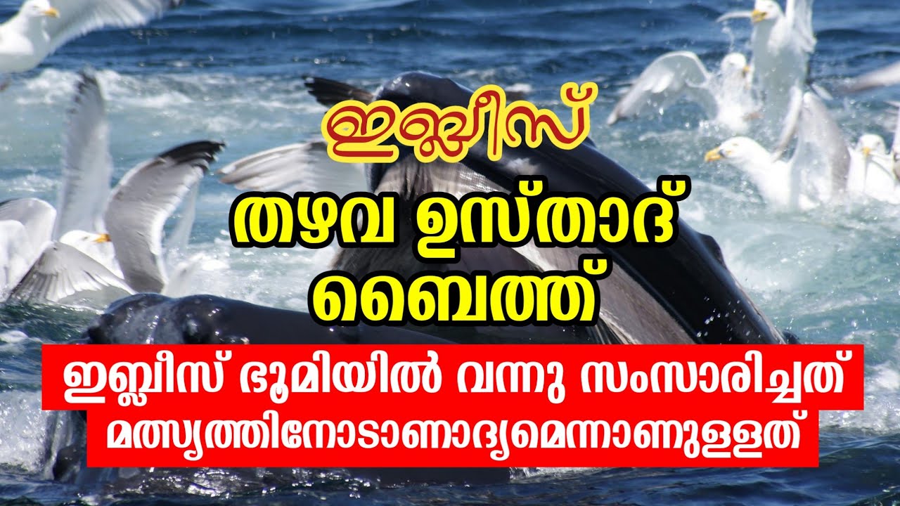 ഇബ്‌ലീസ് | തഴവ ഉസ്താദ് ബൈത്ത്  | iblees | thazhava usthad baith