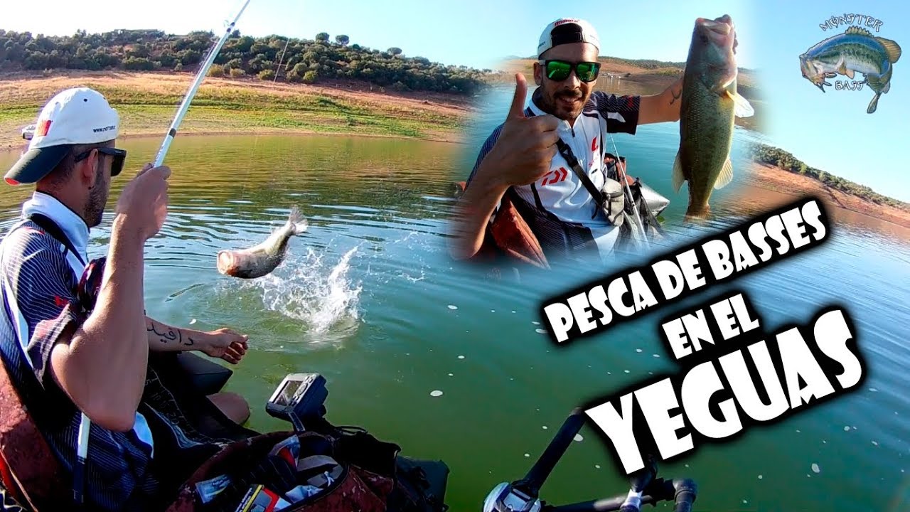 Pesca De Basses En El Yeguas