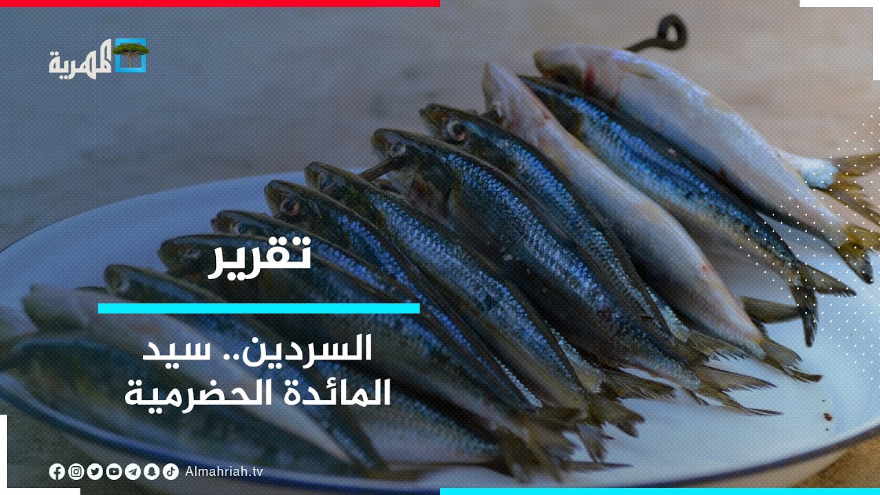 السردين..سيد المائدة الحضرمية