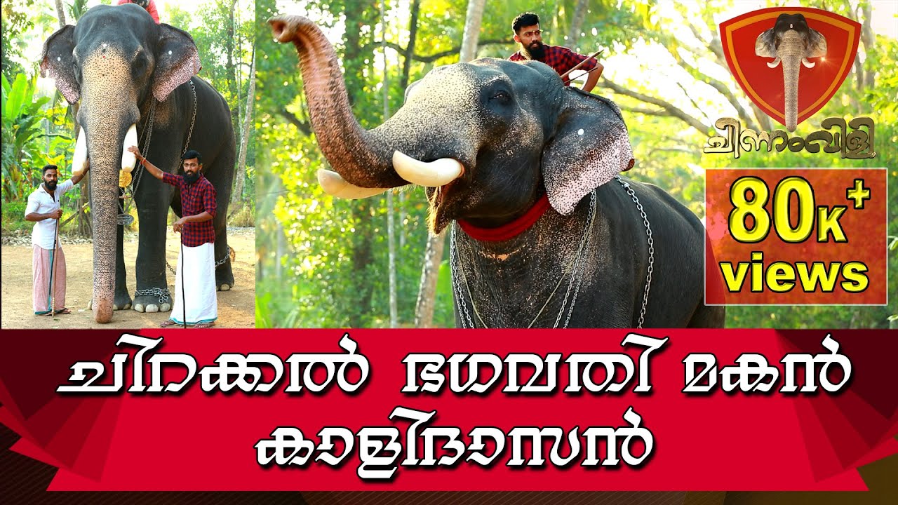 ചിറയ്ക്കല്‍ ഭഗവതി മകന്‍ കാളിദാസന്‍| Janamtv.com | Chinnam Vili | ചിന്നം വിളി | Chirakkal Kalidasan