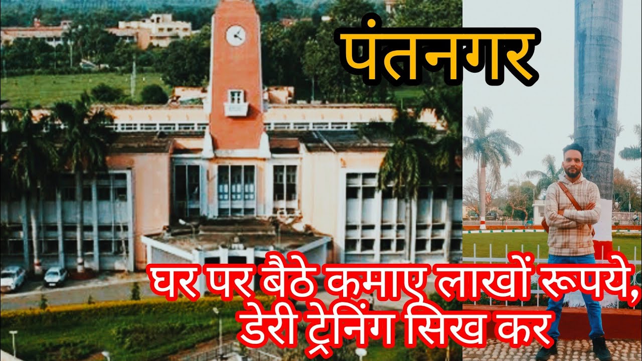 बेरोजगारों के लिए स्व रोजगार ।।घर में कमाए लाखों रुपए।।