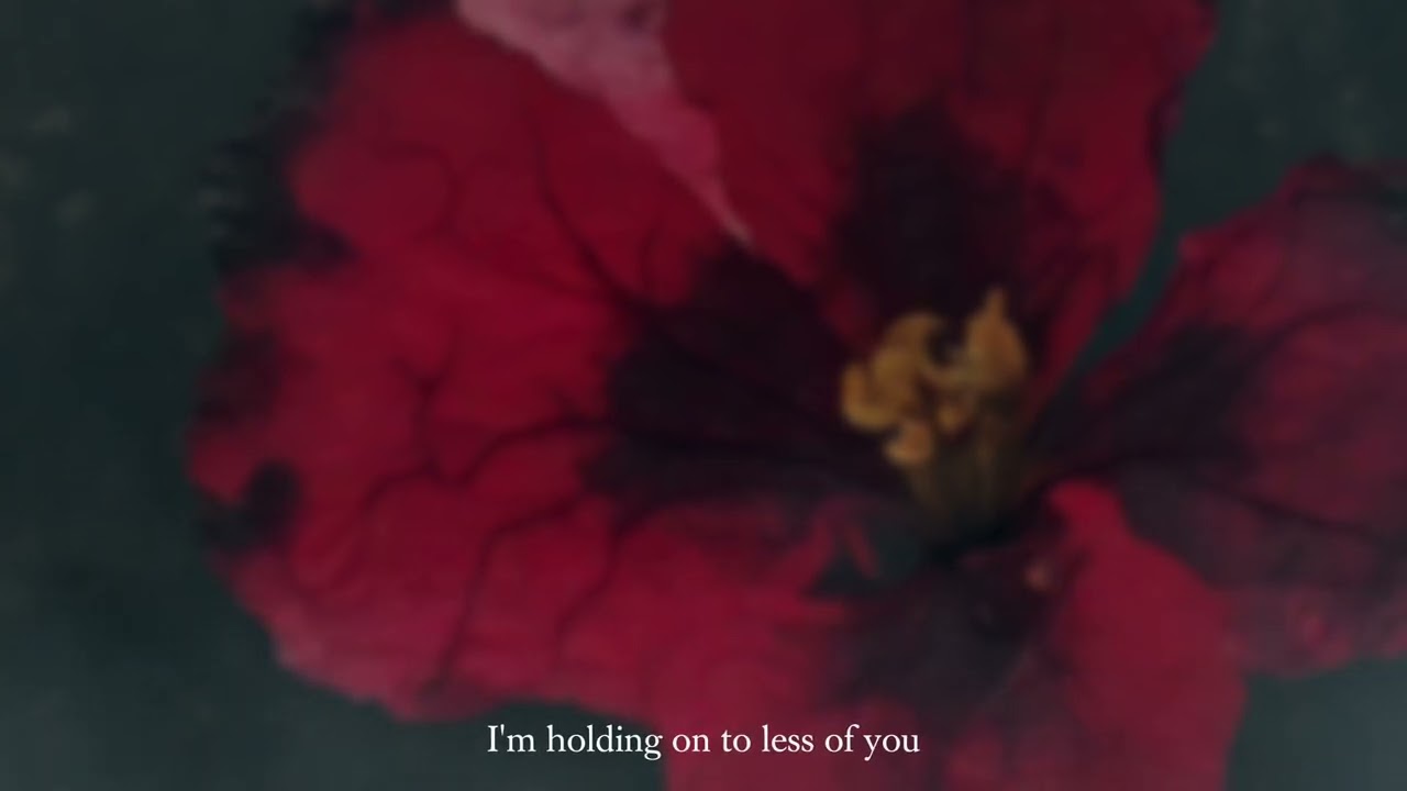 Siren Lake - Less of You (LYRIC VIDEO)