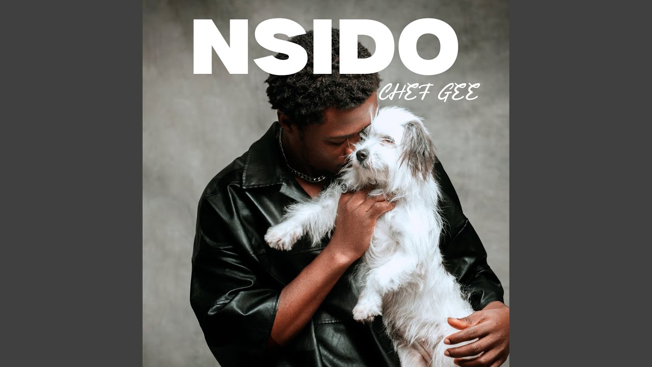 NSIDO