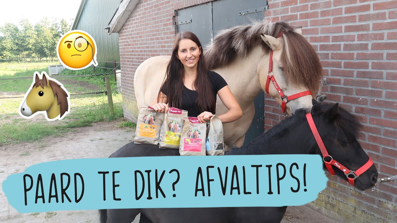 Paard te DIK? Hoe laten AFVALLEN? | #23 | HorseFitShop