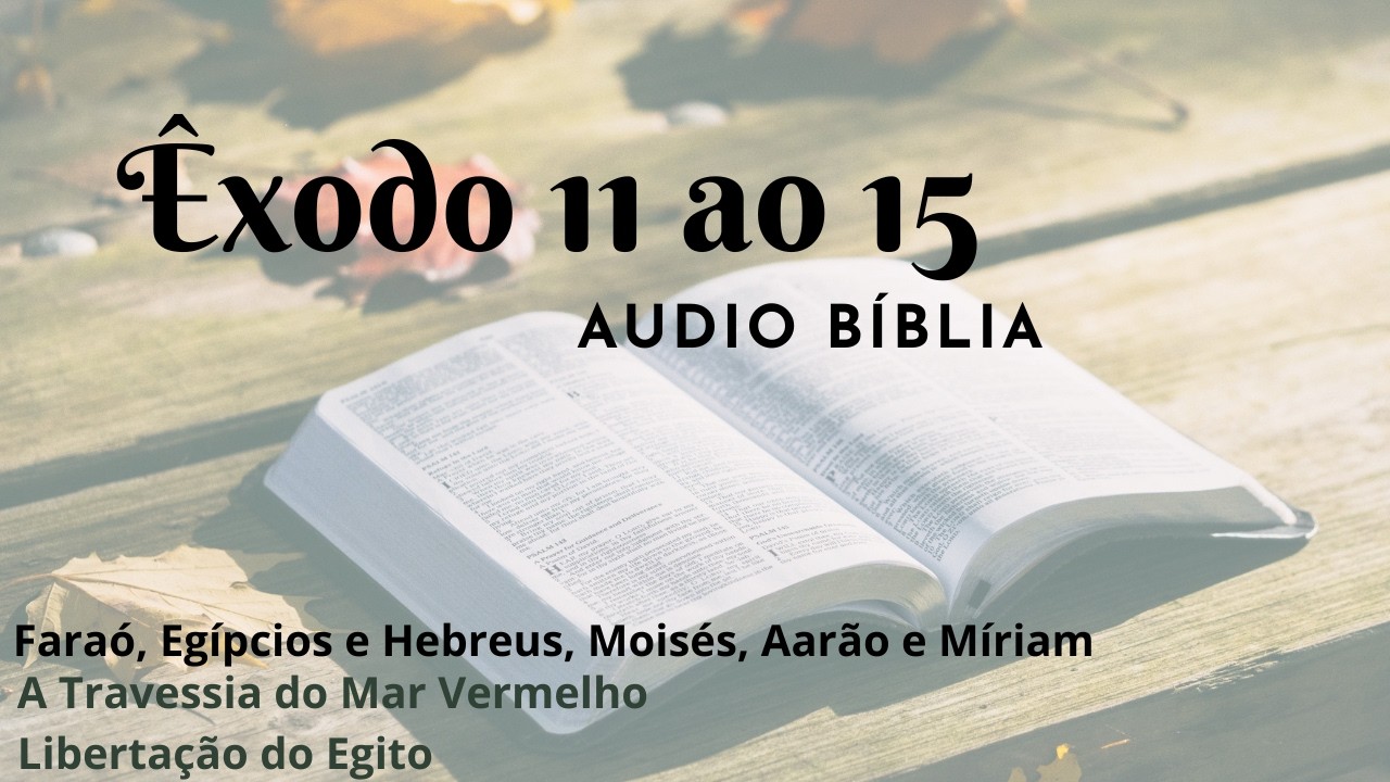 Audio Bíblia Êxodo 11 ao 15 | A Travessia do Mar Vermelho