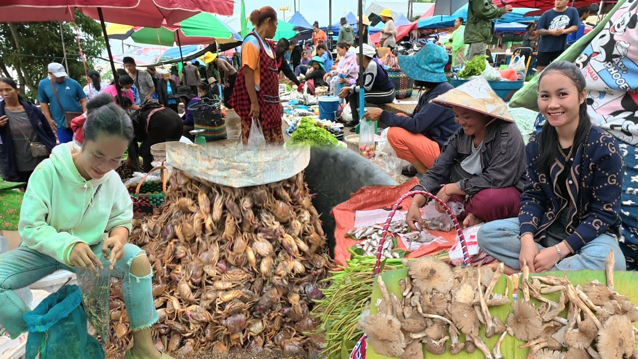 ตลาดนัดไทย-ลาว อำเภอธาตุพนม จังหวัดนครพนม #food #อาหารป่า 
