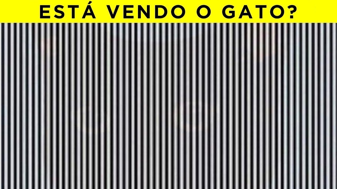 Quão Boa é a Sua Visão?