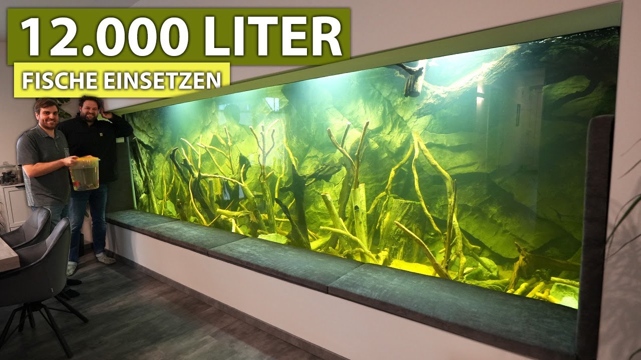 12.000 LITER - Wir setzten bei Robin Fische ein! - New Wave Concepts