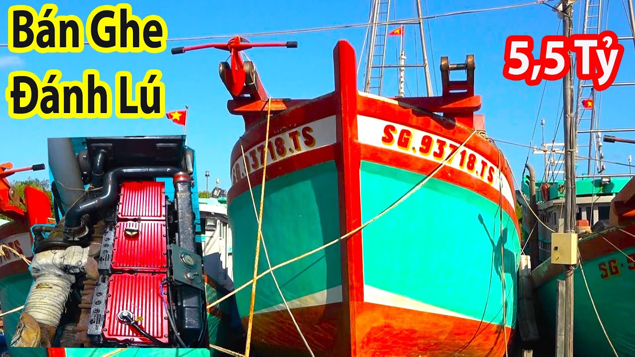 Bán Tàu Đánh Cá 5,5 Tỷ || Vì Chủ Ghe Chuẩn Bị Chuyển Ngành Nghề Khác || Hàng Chất Lượng Cao