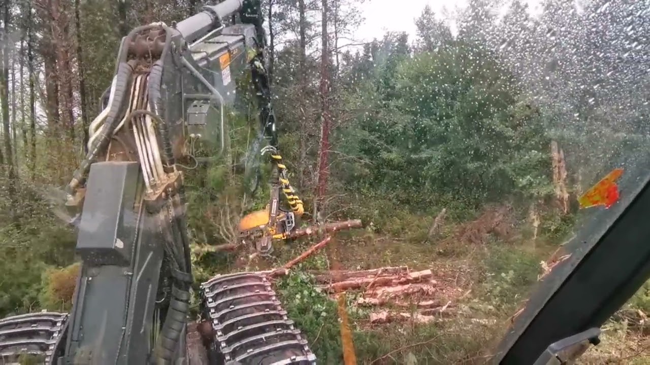 Mutkasta mäntyä ja laipan vaihto, Kanada Ponsse Fox H6