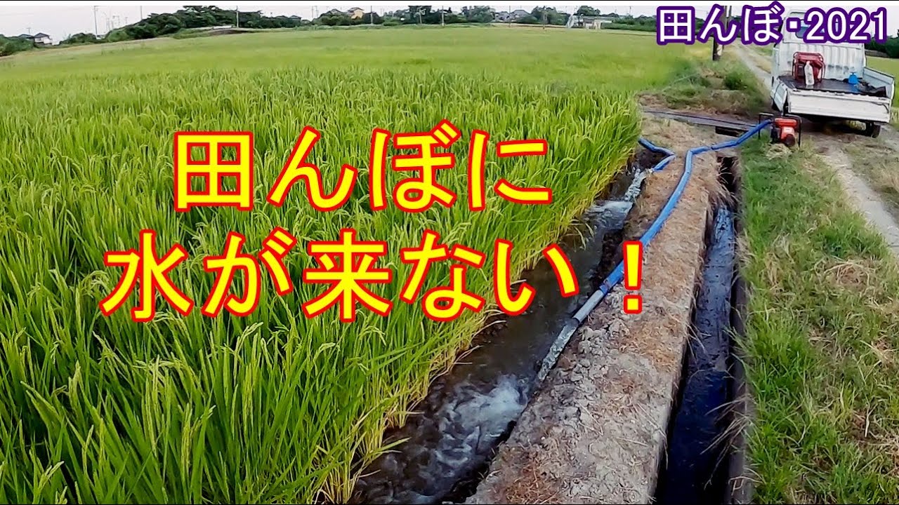 田んぼに水が来なかったので、ポンプで入れました　田んぼ・2021　20210727～28