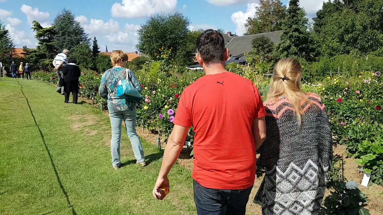 EMDV -Eerste Maastrichtse Dahlia Vereniging open dag 6 september 2020